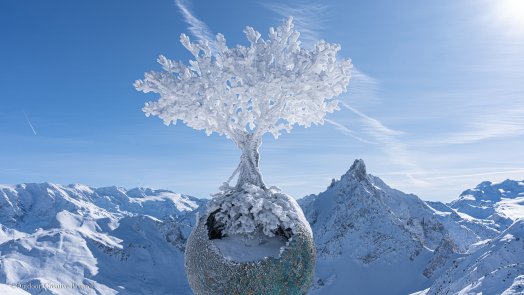 Outdoor creative pictures 2.jpg