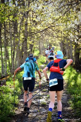 LMDF DANS MONTEE.jpeg