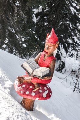 sortie raquette MONTALBERT hiver 2016-2017 © Infosnews-3.jpg