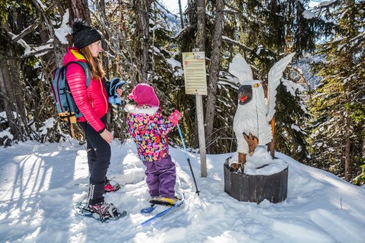 sortie raquette MONTALBERT hiver 2016-2017 © Infosnews-6.jpg