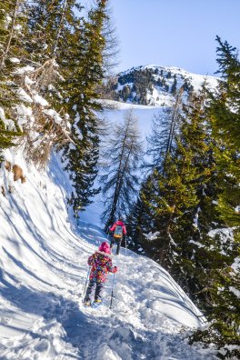 sortie raquette MONTALBERT hiver 2016-2017 © Infosnews-9.jpg