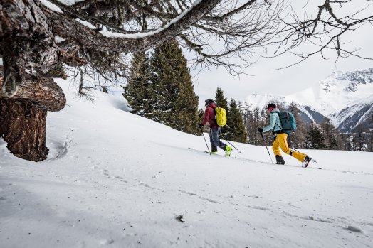 SKI DE RANDO MOVEMENT @ERICGACHET (3).jpg