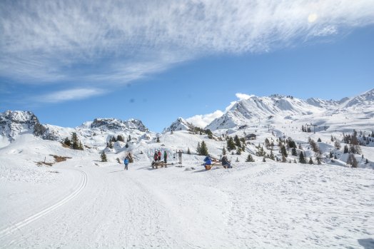 CDF Dou du Praz - Plagne Villages - HIVER 2023 ©Infosnews-91.jpg