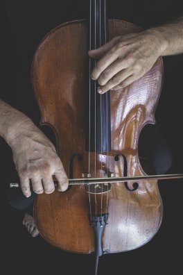 ri_ya-cello-4709128.jpg