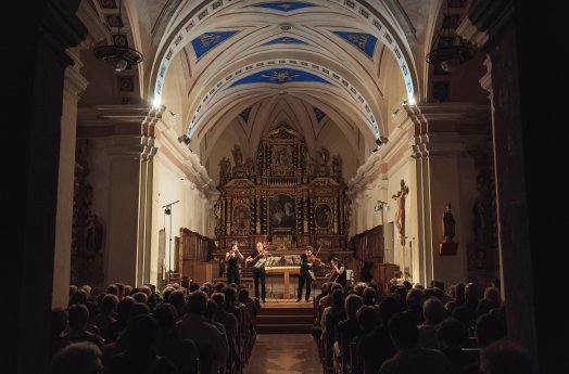 concert-quatuor-classique-yann-allegre-20903-6657104ed6e4b106731905.jpg