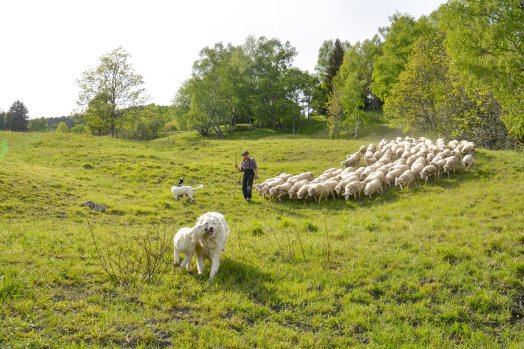 BOURG-SAINT-MAURICE - Bergerie La Fya - ETE 2026 - ©infosnews-7.jpg