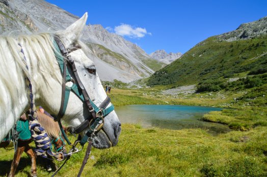 Méribel-ranch nordique-rando equestre-ETE 2025-©infosnews-143.jpg