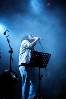 chandrak-singer-9963695_1920.jpg