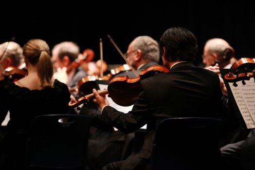 yannazazu-orchestra-2098877.jpg