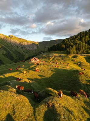 Prajourdan-La_Plagne-JYM-18557.JPG