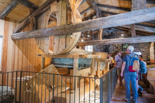 Moulin_de_Burdin-Marine_VERNAZ-35140.jpeg