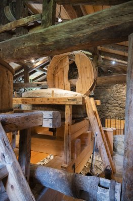 Moulin_de_Burdin-Marine_VERNAZ-35141.jpeg