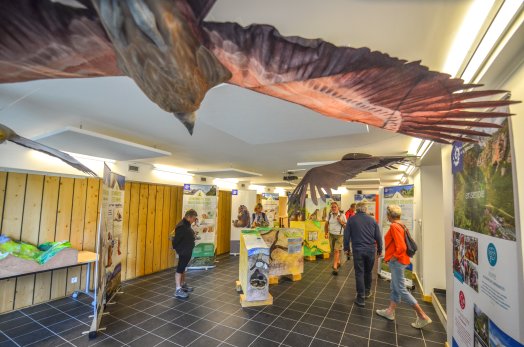 Maison du parc Rosuel - Peisey-Vallandry ETE 2022 ©Infosnews-5.jpg