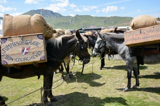 fete des alpages-la plagne-été2023-©infosnews-16.jpg