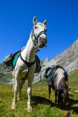 Méribel-ranch nordique-rando equestre-ETE 2025-©infosnews-152.jpg