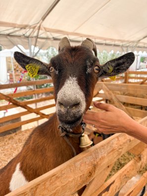 BSM- Salon de l'Agriculture de Montagne- ETE 2025-©infosnews-38.jpg