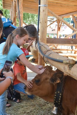 Salon agriculture-BSM-été2024-©infosnews-59.jpg