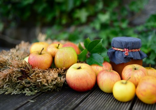 congerdesign-apples-5543778_1920.jpg