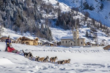 la_plagne_chien_traineau_champagny-nomad_photographie_2.jpg