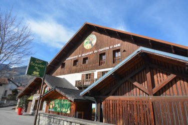 CDF COOP-AIME-hiver2025-©infosnews-1.jpg