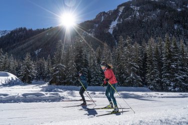 Ski_de_fond_skating_couple_Elliot_Gieu.jpg