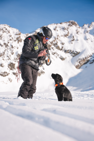 La_Plagne_Twin_chien_d_avalanche-OTGP_Brendan.PNG