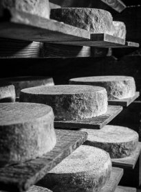 fromages-570x780.jpg