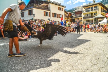 Salont de l'agriculture de la montagne - Bourg Saint-Maurice - ETE 2022 ©Infosnews-42.jpg