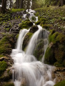 Ruisseau_et_mousse-OTGP_JYM-10454.JPG