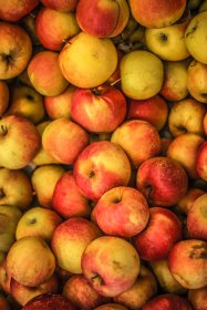 Biocoop Moutier Hiver-2015-2016 Pommes © Infosnews-6.jpg