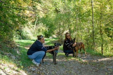 MOUTIERS ET ALENTOURS-Anima sithorse-Joëlle Duriez - Elodie Cornault HIVER 2026-©infosnews-55.jpg