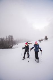 1-Plan bois-Montchavin-les-coches-hiver2024-©infosnews-40.jpg