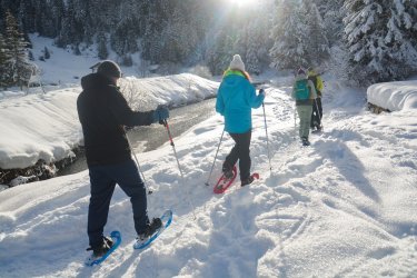 Sortie raquettes-Brides-les-Bains-hiver2024-©infosnews-19.jpg