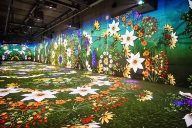 fresques - yann allegre.jpg