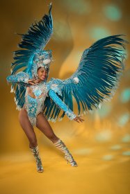 atelierlouisecostume-samba-4393615.jpg