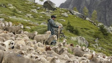 Daniel Arpin - Pont Transhumance .jpeg