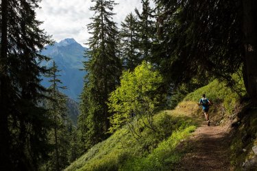 Trail_Alpin_du_Grand_Bec-La_Plagne-JYM-37142.JPG